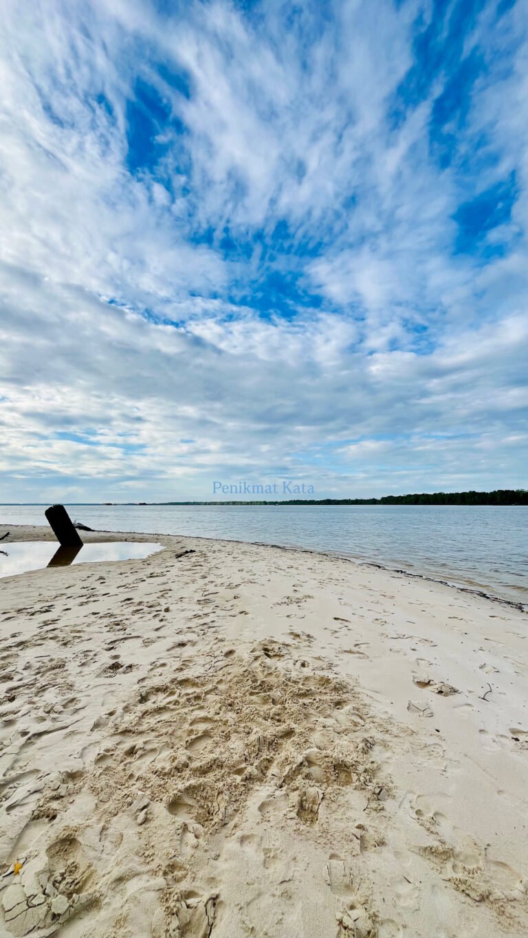 D22B46B7-DF14-4FB0-81AB-4FD4B7F5F6A6